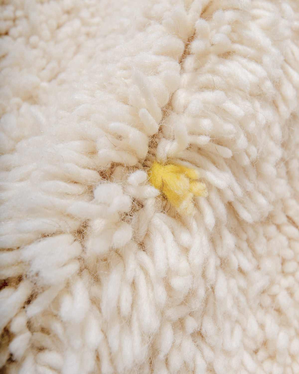 Detail of cream wool rug showing the density of the wool and the coloured strands that make up the polka dots. 