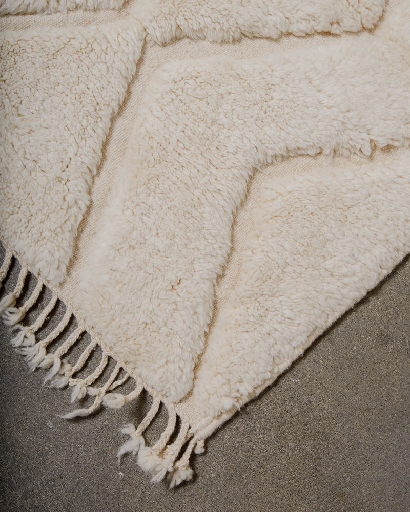 Corner of textured rug with fringes on a neutral background