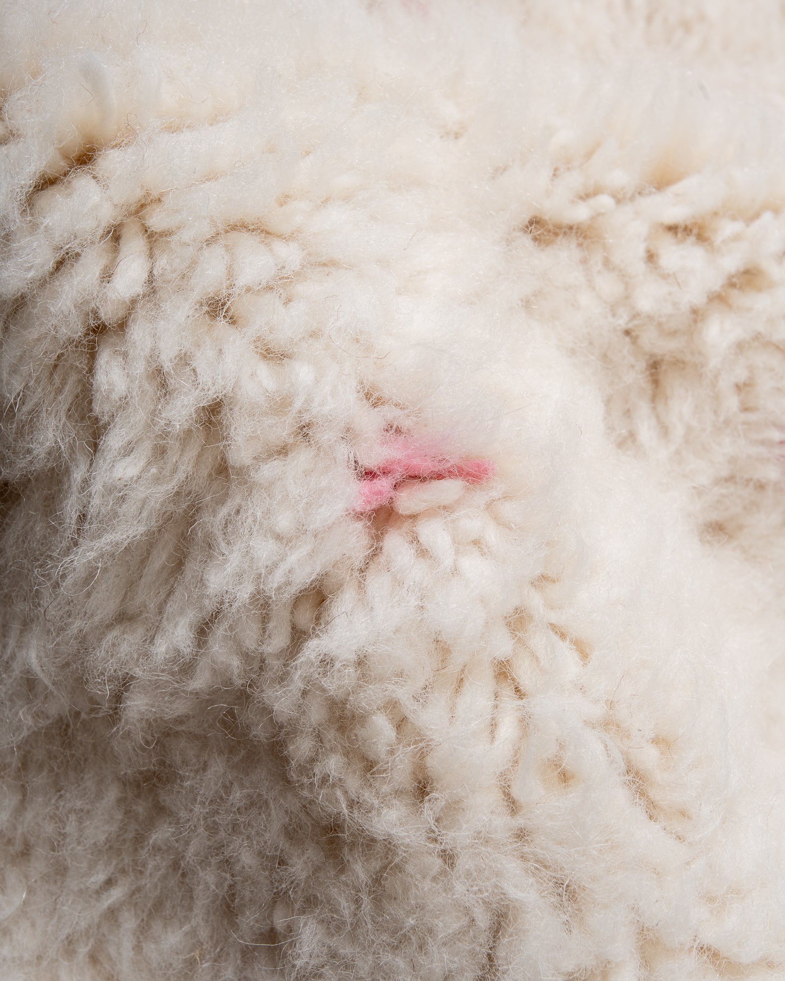 Modern, designer, handcrafted Berber rug from Morocco. Beniourain carpet with beautiful colours and patterns and fluffy wool texture. 