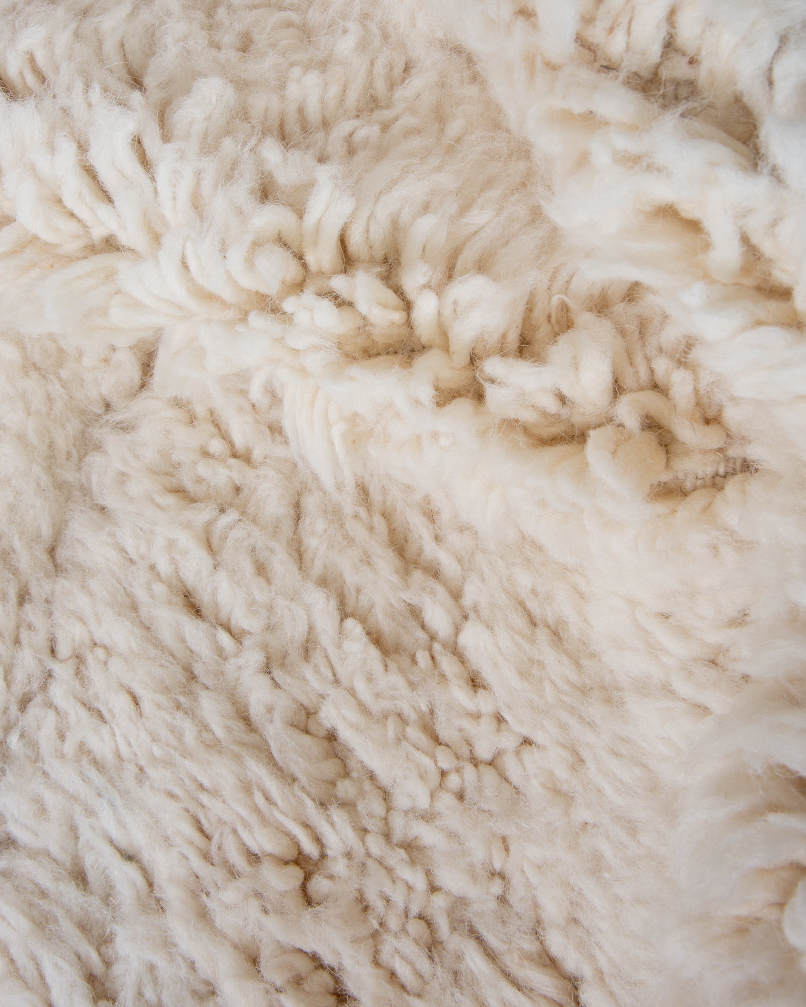 Modern designer handcrafted Berber rug from morocco Beniourain with beautiful colors and patterns